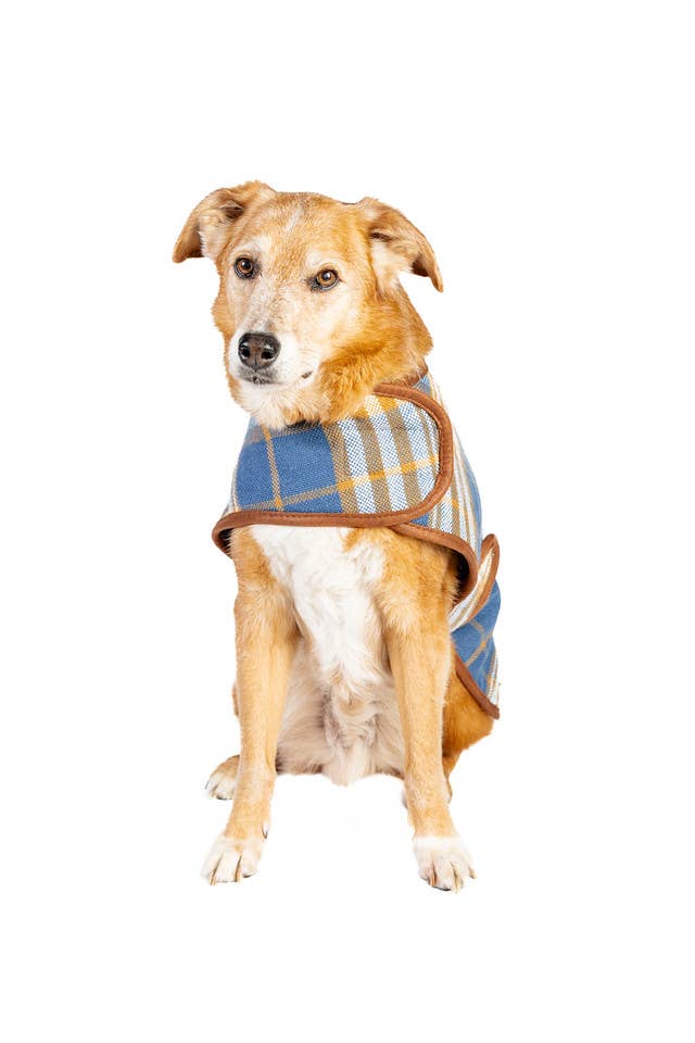 Chilly Dog Western Plaid Dog Coat - Blue/Brown