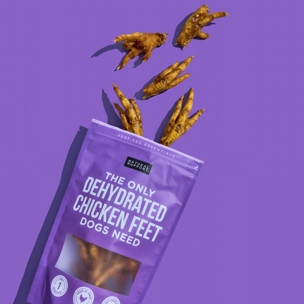 The Only Dehydrated Chicken Feet Dogs Need